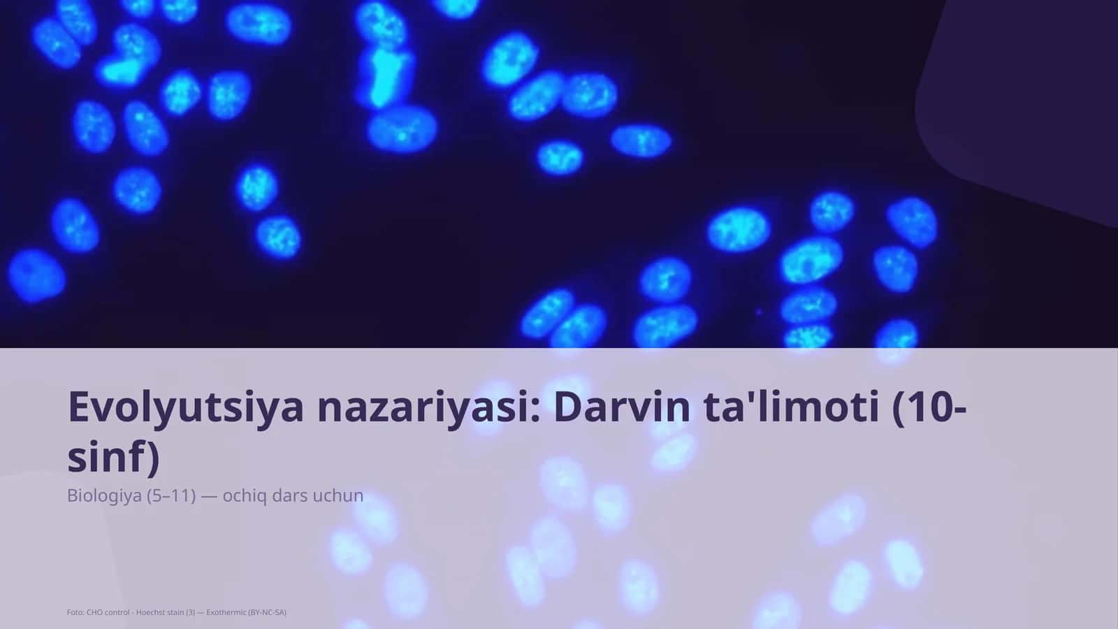 Evolyutsiya nazariyasi: Darvin ta'limoti (10-sinf) 1