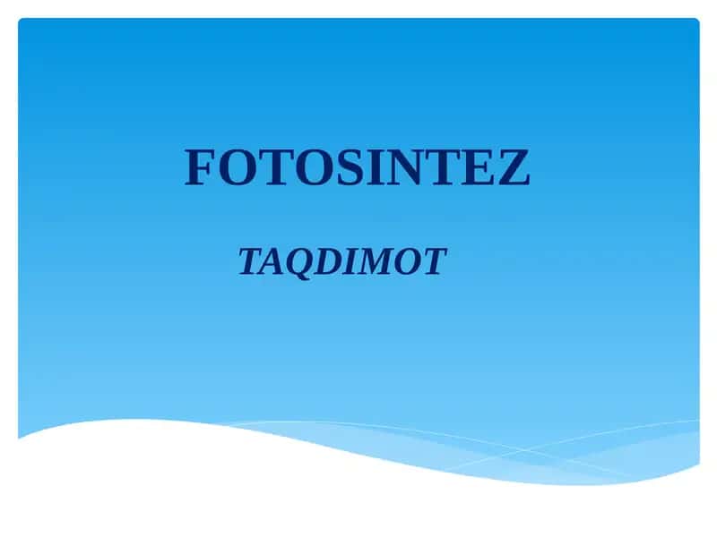 FOTOSINTEZ 1