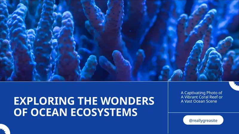 Coral Reefs 1