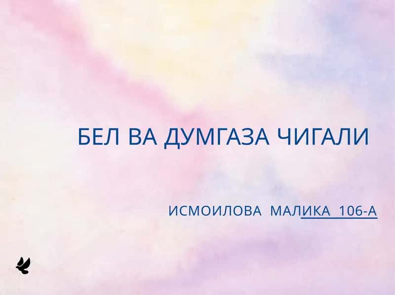 Бел чигали 1
