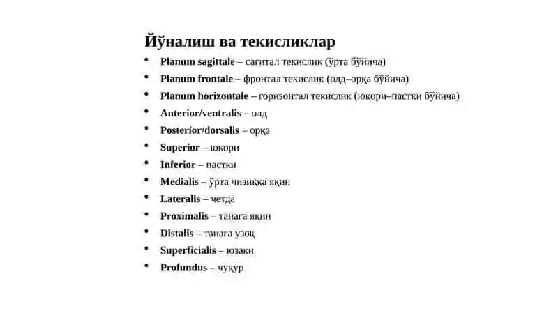 Йўналишватекисликлар