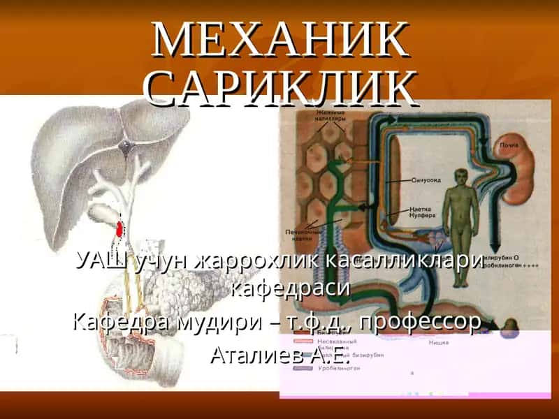 Механиксариклик 1