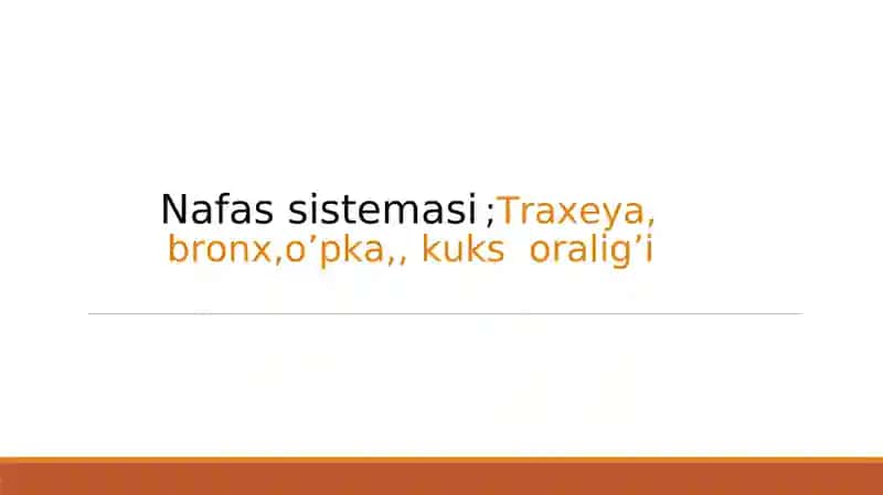 Nafas sistemasi 1