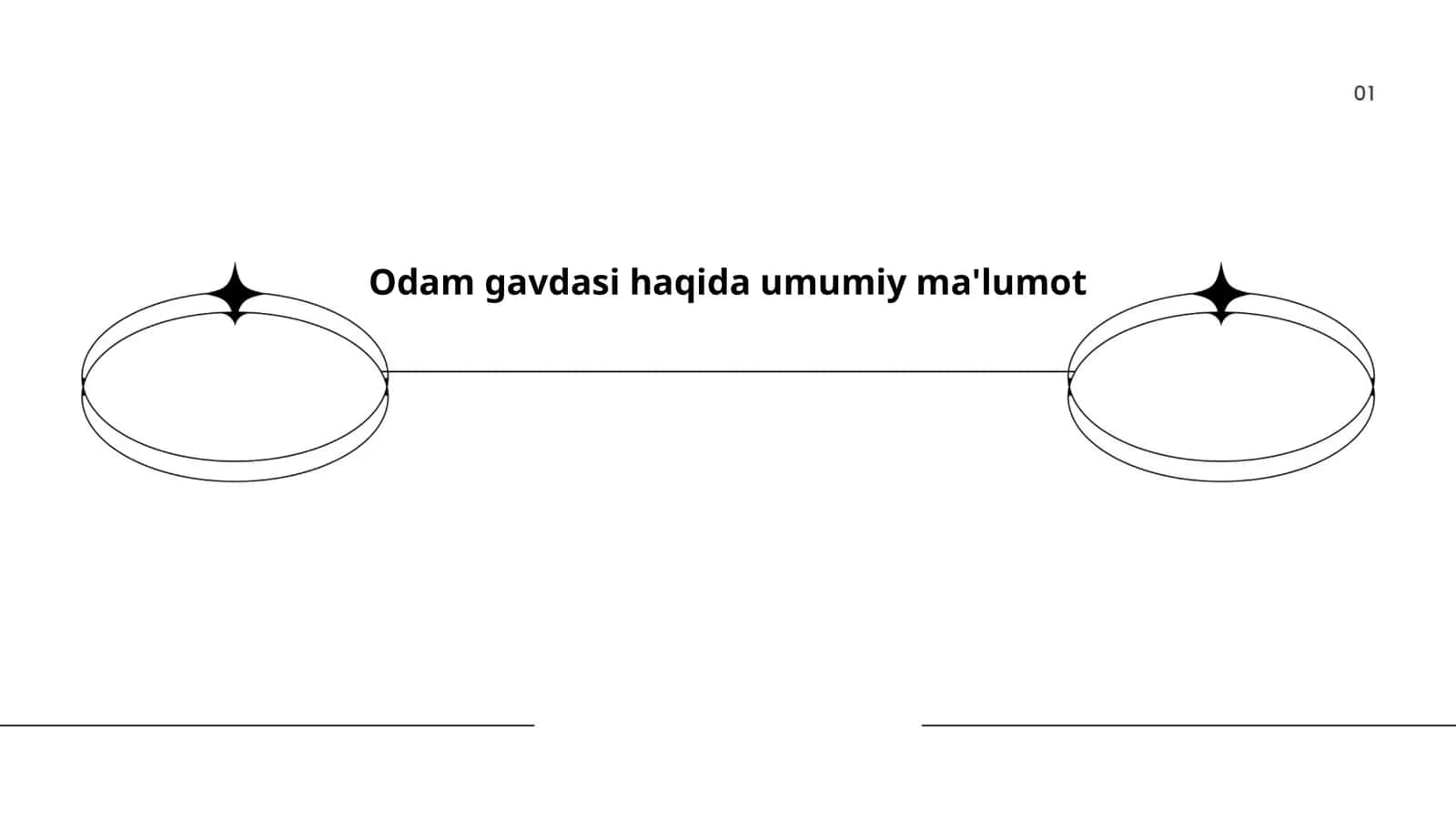 Odam gavdasi haqida umumiy ma'lumot 1