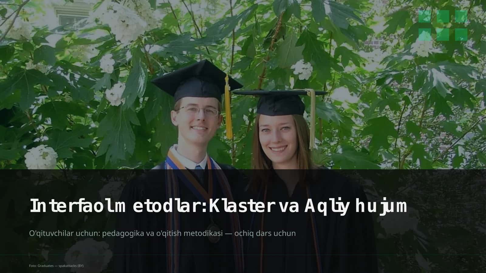 Interfaol metodlar: Klaster va Aqliy hujum 1