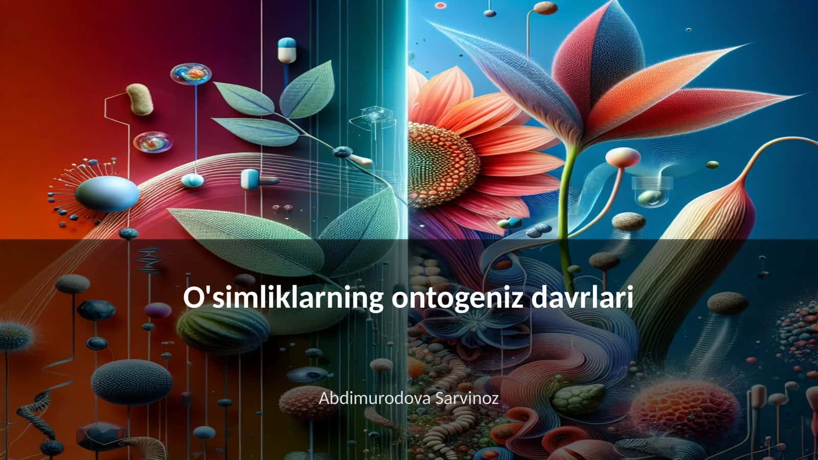 O'simliklarning ontogeniz davrlari 1