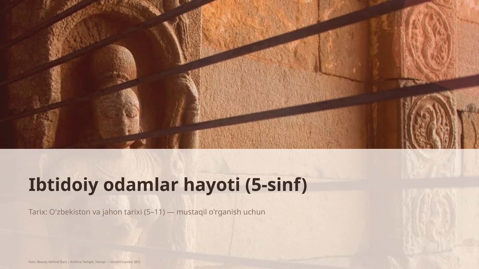 Ibtidoiy odamlar hayoti (5-sinf) 1