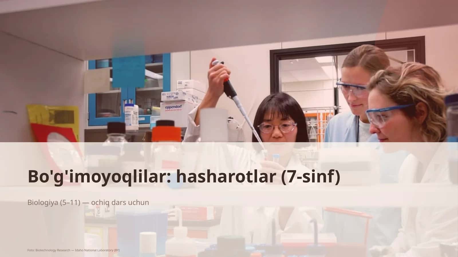 Bo'g'imoyoqlilar: Hasharotlar (7-sinf) 1
