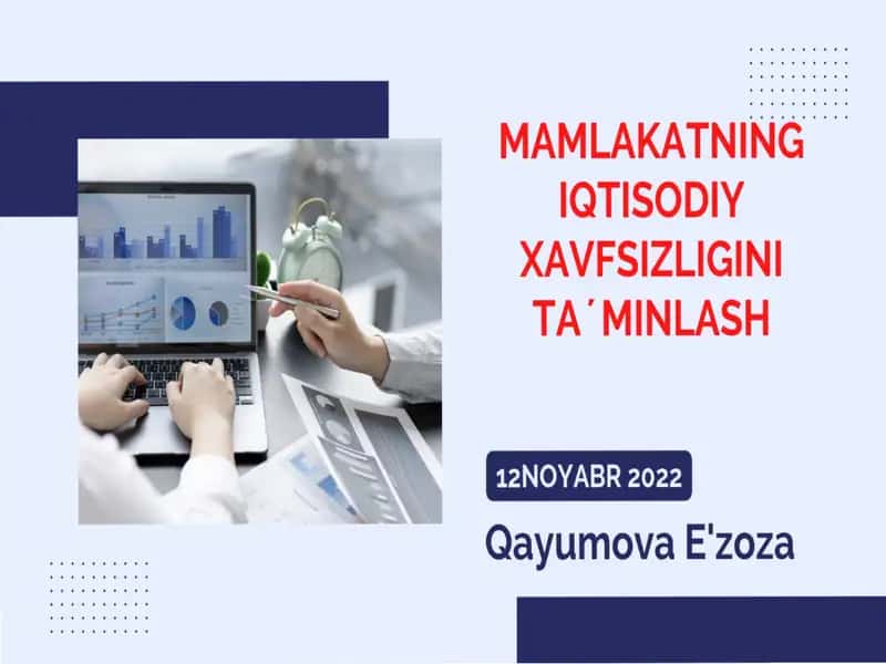 Mamlakatning iqtisodiy xavfsizligini ta’minlash 1