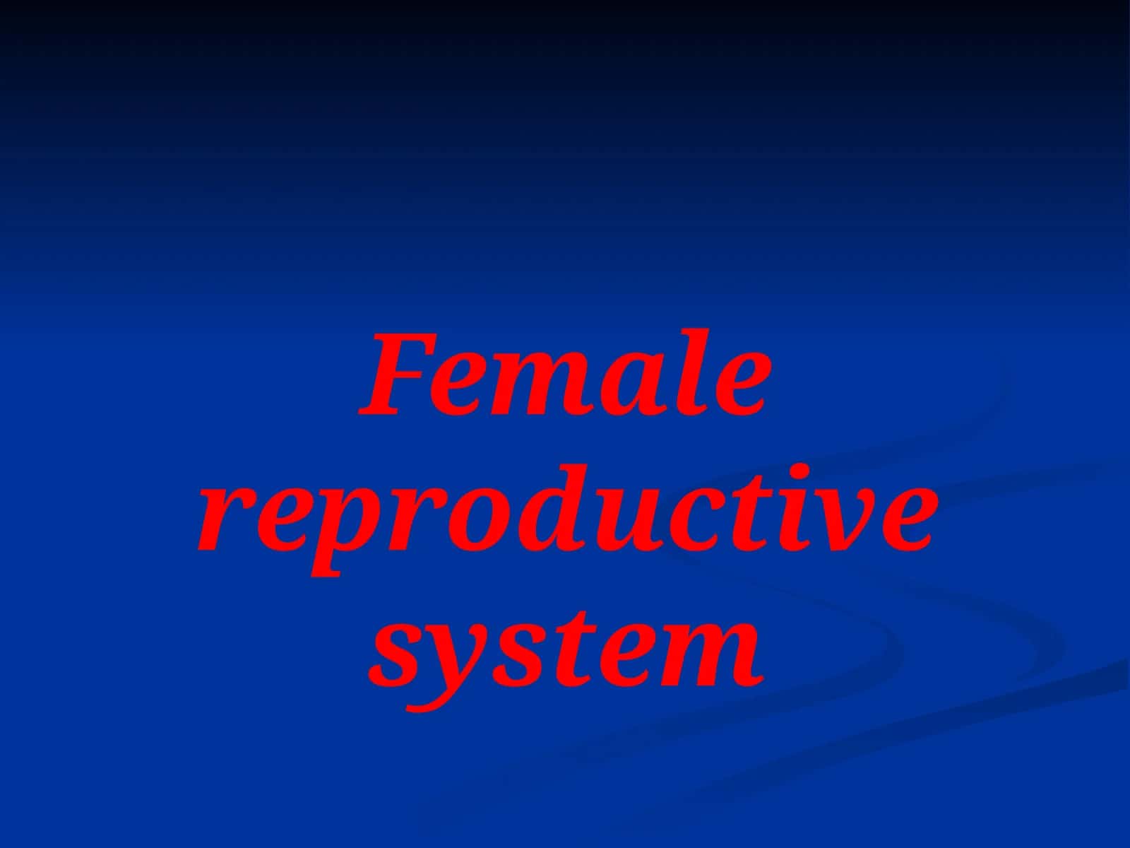 Female reproductive system 1