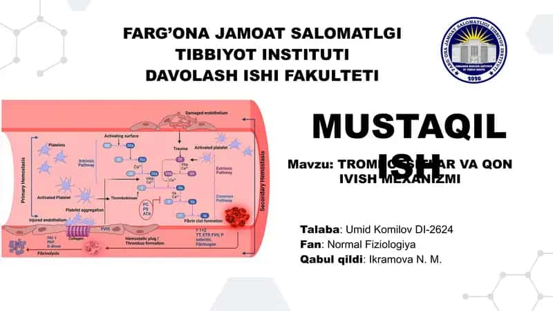 TROMBOTSITLAR VA QON IVISH MEXANIZMI Fiziologiya 1