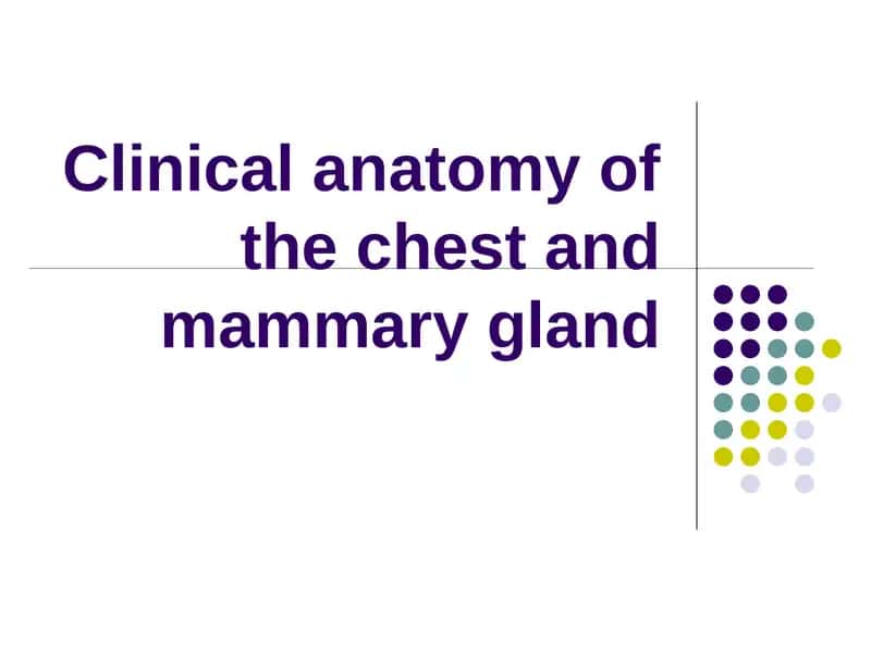 Сlinical anatomy of the chest and mammary gland 1