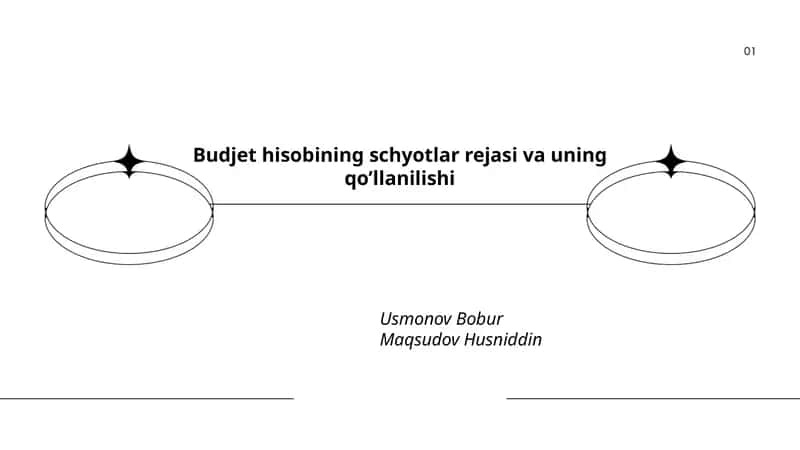 Budjet hisobining schyotlar rejasi va uning qo’llanilishi 1