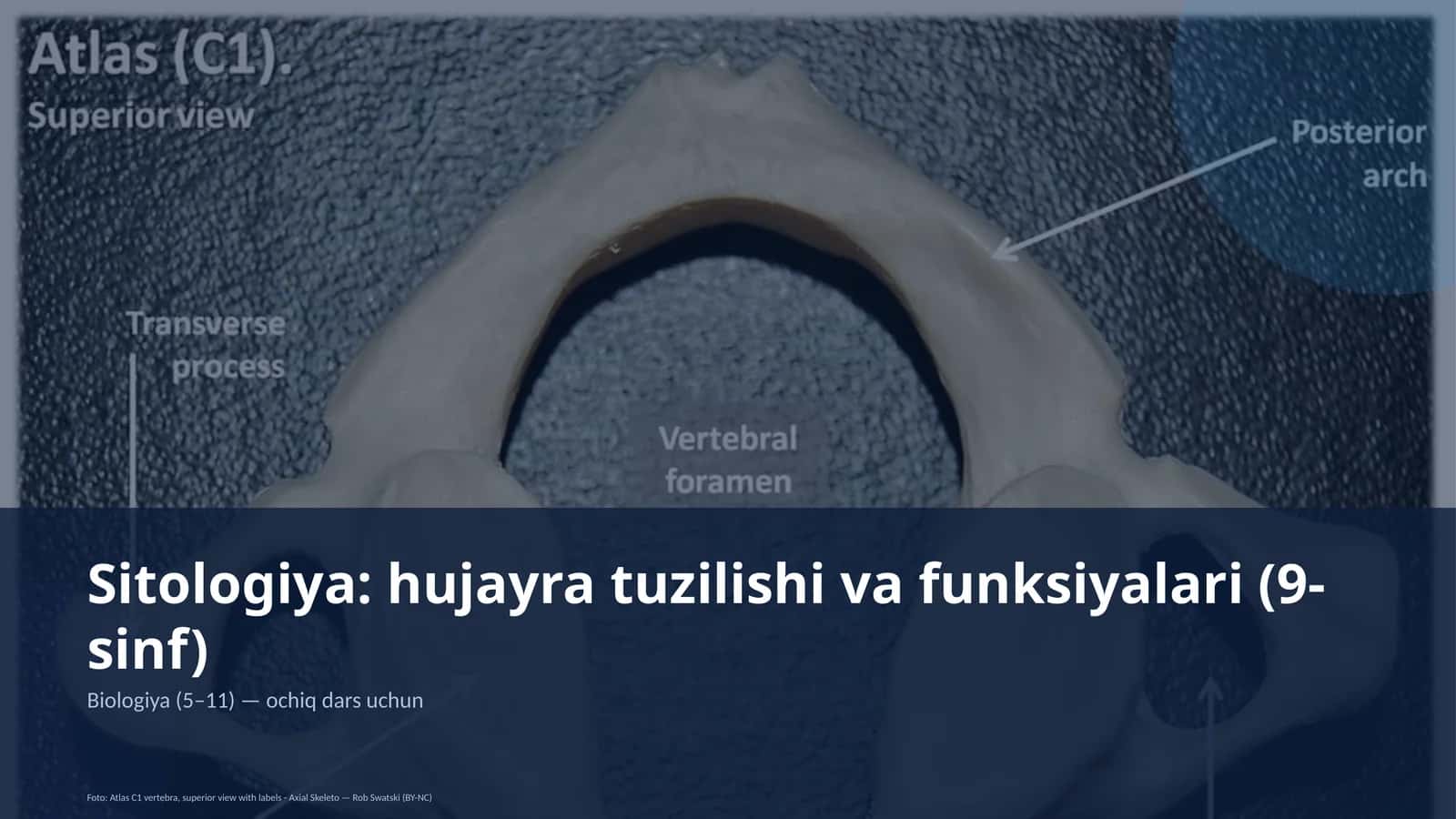 Sitologiya: hujayra tuzilishi va funksiyalari (9-sinf) 1