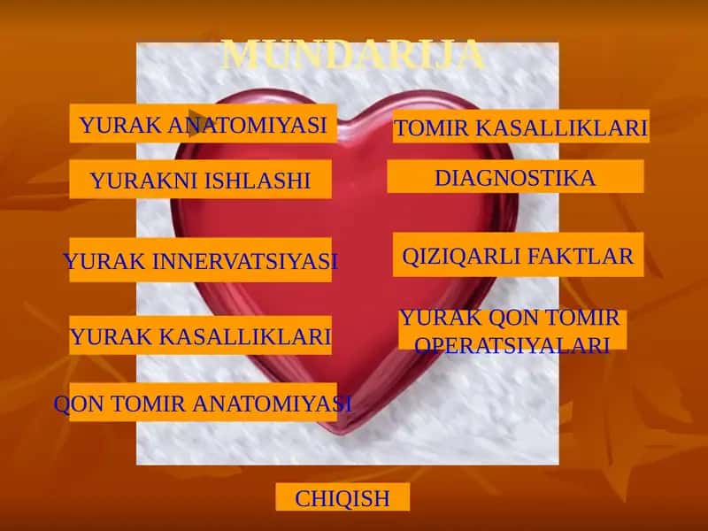 Yurak Anatomiyasi 1