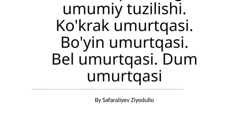Umurtqalarning umumiy tuzilishi 1