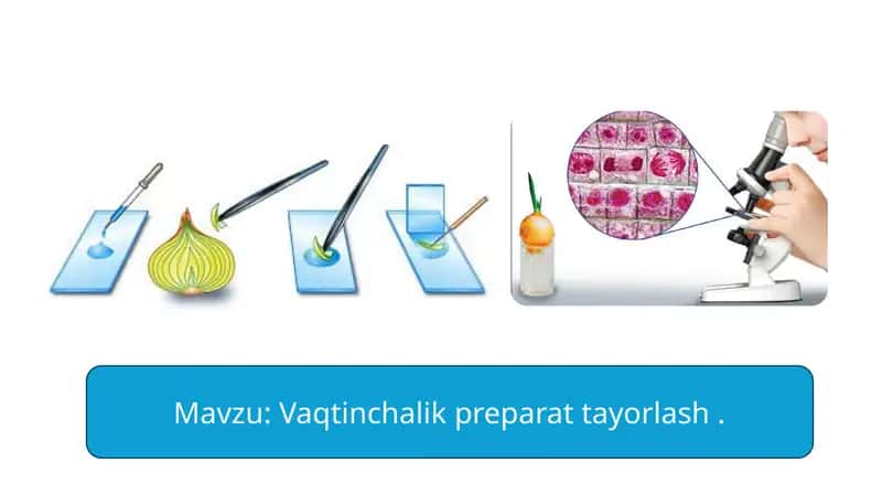 Vaqtinchalik preparat tayorlash . 1