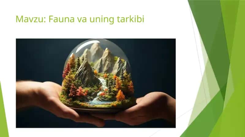 Fauna va uning tarkibi 1