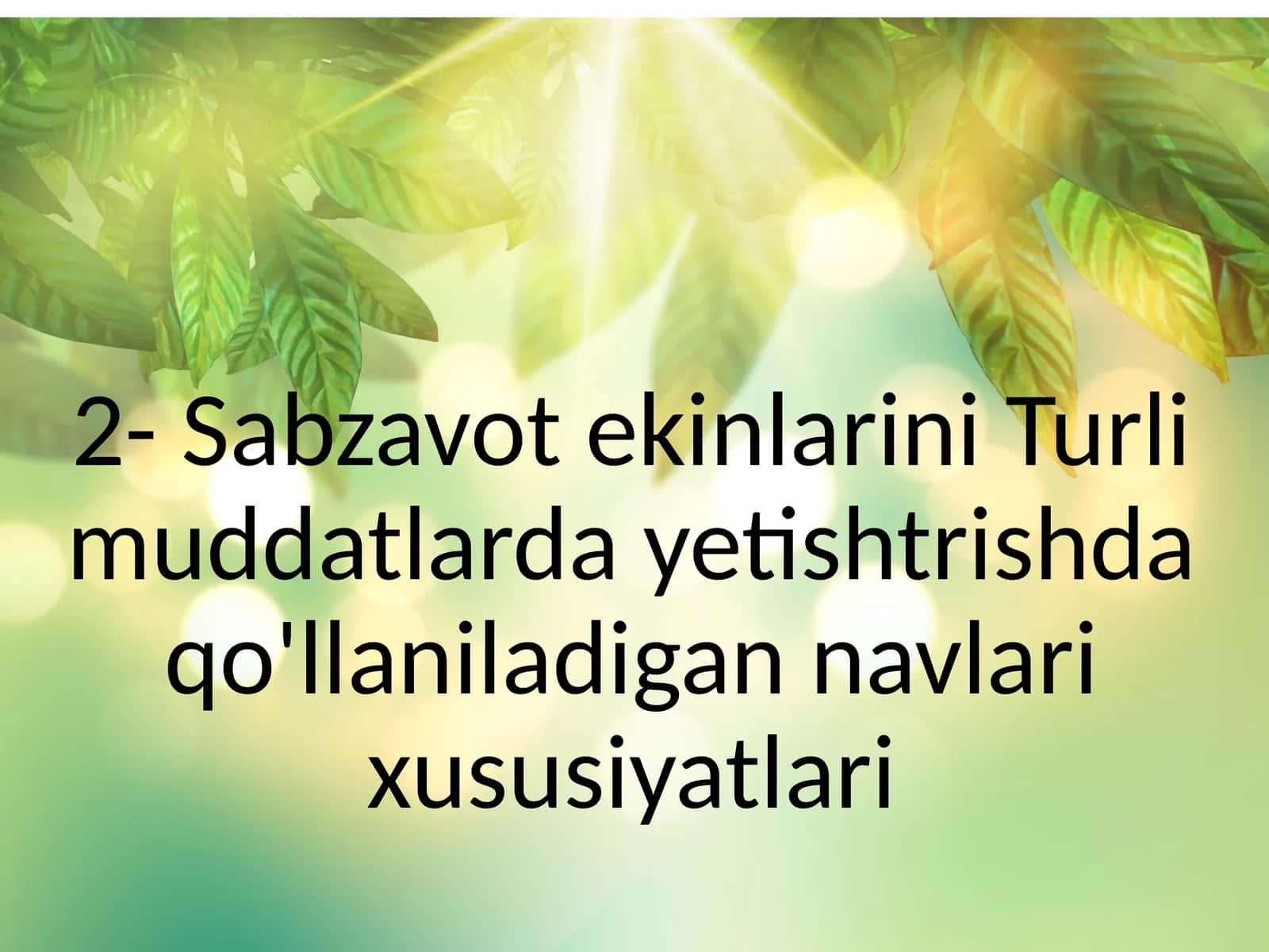 Sabzavot ekinlarini Turli muddatlarda yetishtrishdaqo'llaniladigan navlari xususiyatlari 1