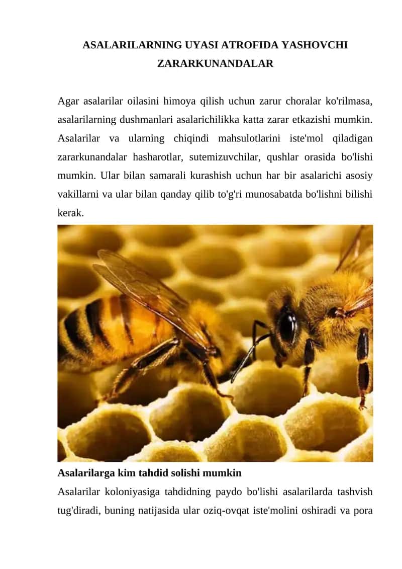 Asalarilarning Uyasi Atrofida Yashovchi Zararkunandalar 1