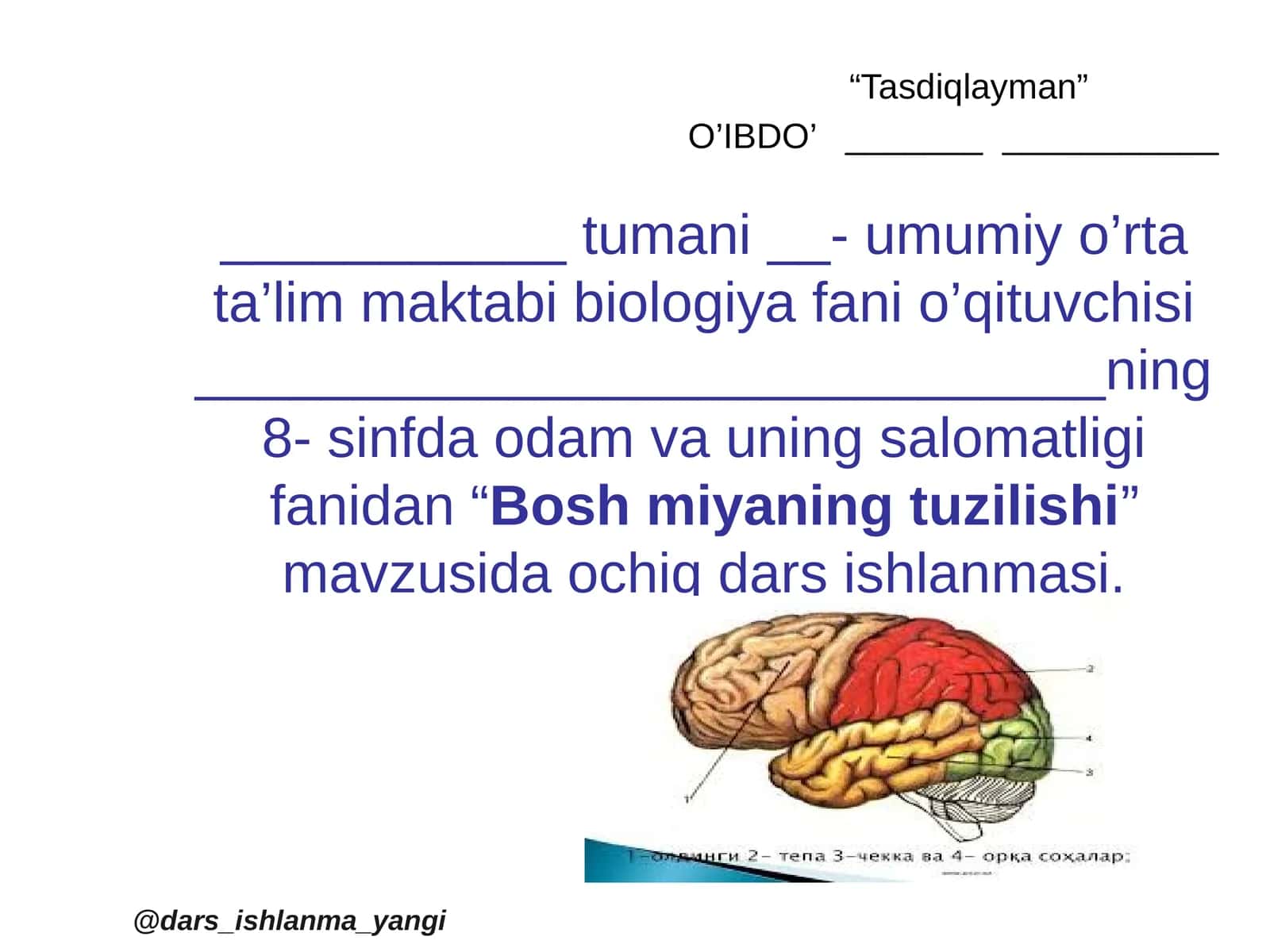Bosh miya 1