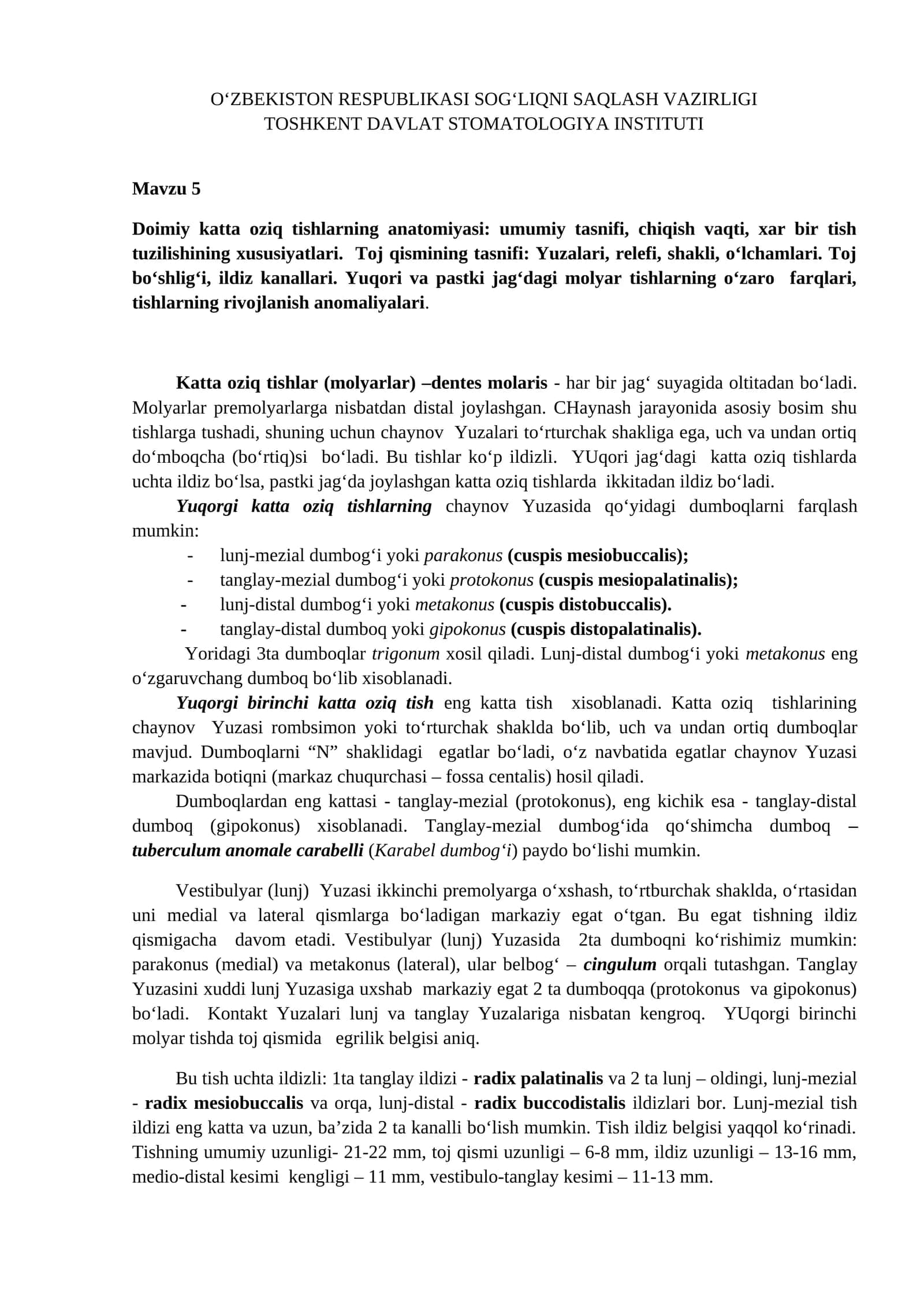 Doimiy katta oziq tishlarning anatomiyasi 1