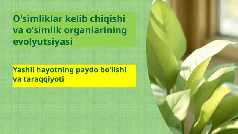O'simliklar kelib chiqishi va o'simlik organlarining evolyutsiyasi 1