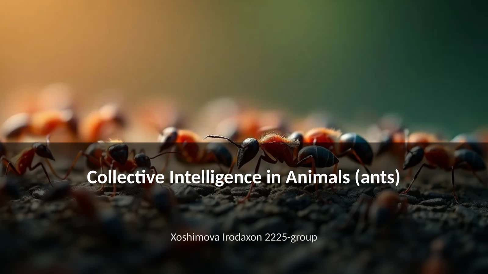 Collective Intelligence in Animals (ants) 1