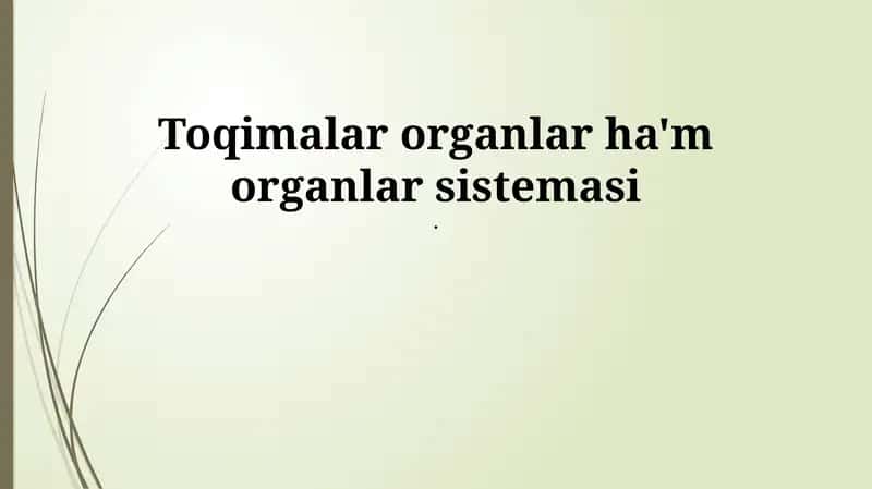 Toqimalar organlar ha'm organlar sistemasi 1