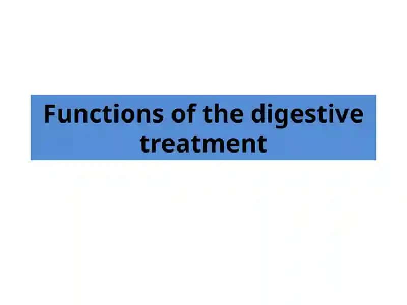 Functions of the digestive treatment