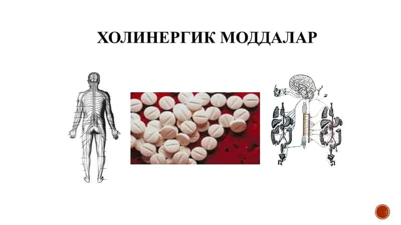 ХОЛИНЕРГИК МОДДАЛАР 1