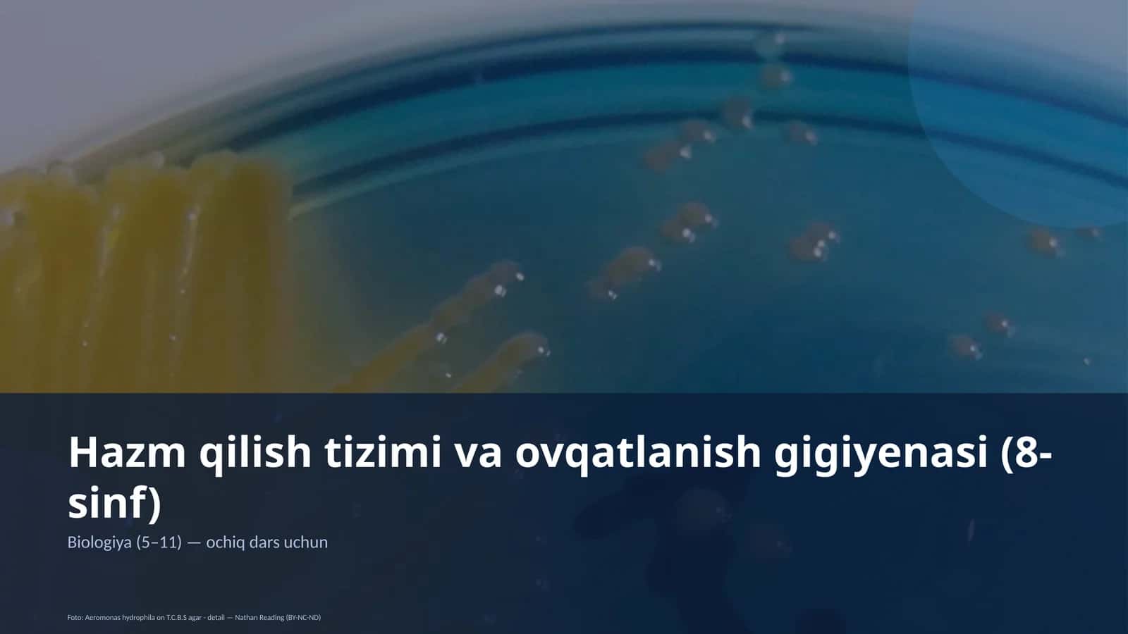 Hazm qilish tizimi va ovqatlanish gigiyenasi (8-sinf) 1