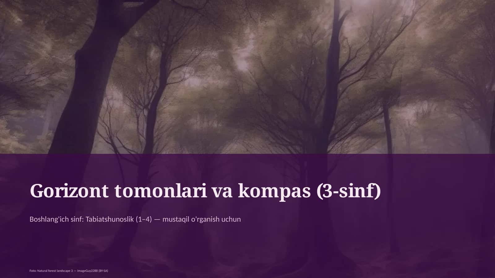 Gorizont tomonlari va kompas (3-sinf) 1