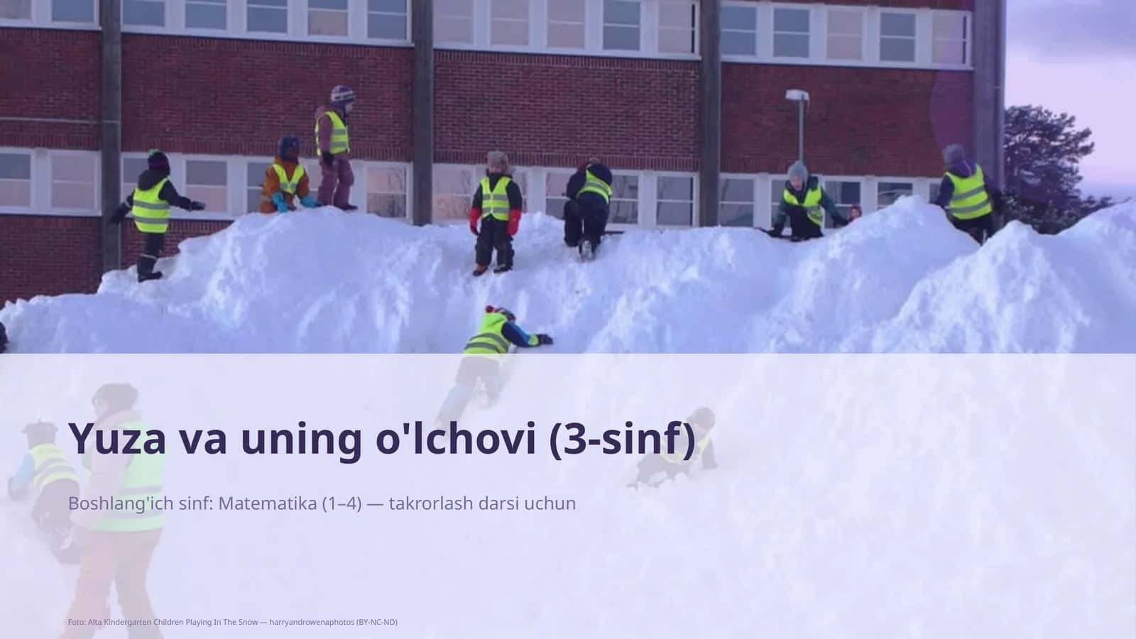 Yuza va uning o'lchovi (3-sinf) 1