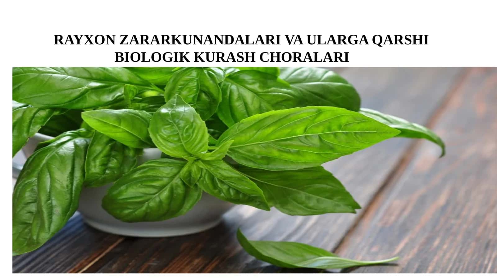 RAYXON ZARARKUNANDALARI VA ULARGA QARSHIBIOLOGIKKURASH CHORALARI 1