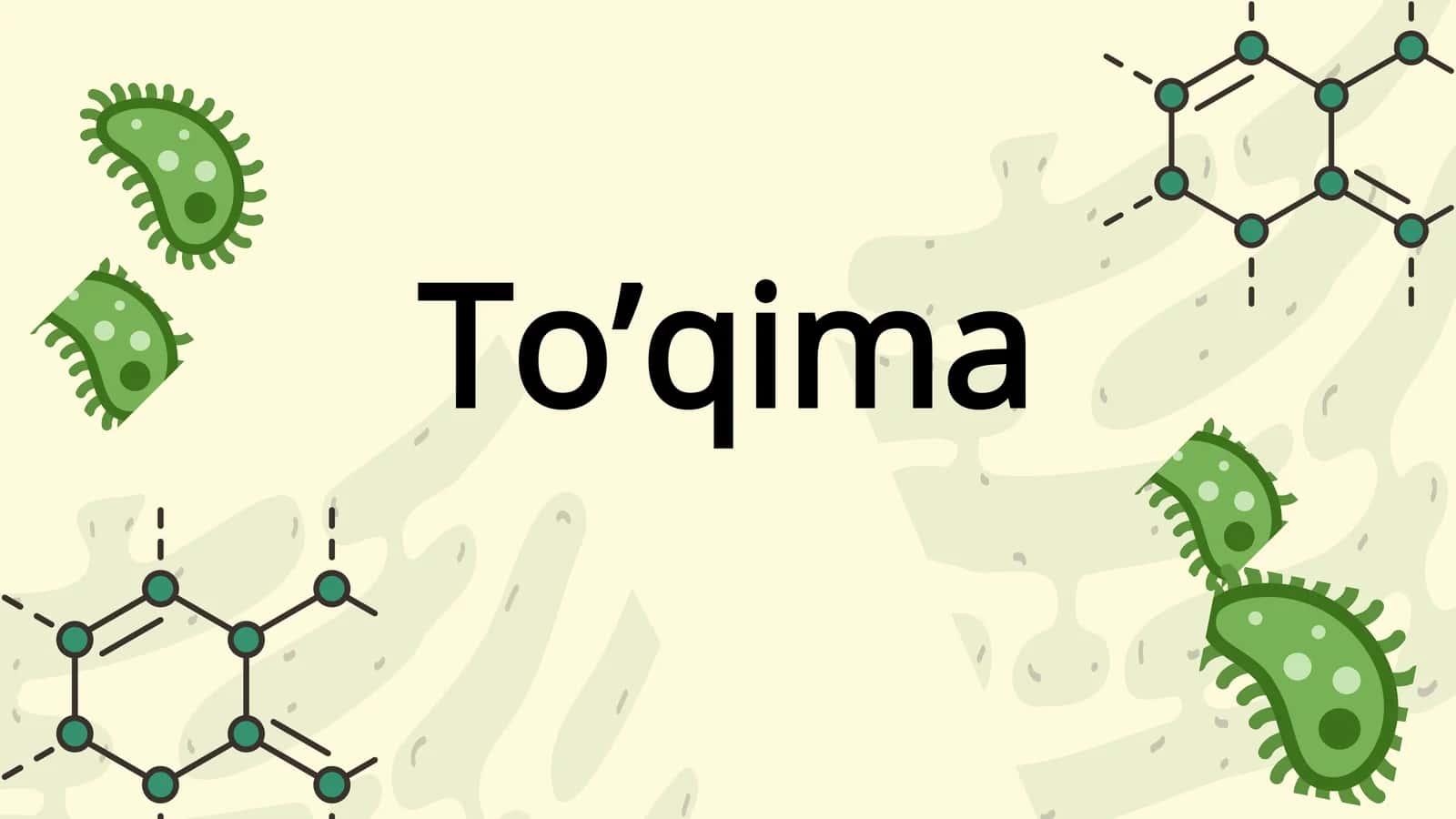 [To’qima] 1