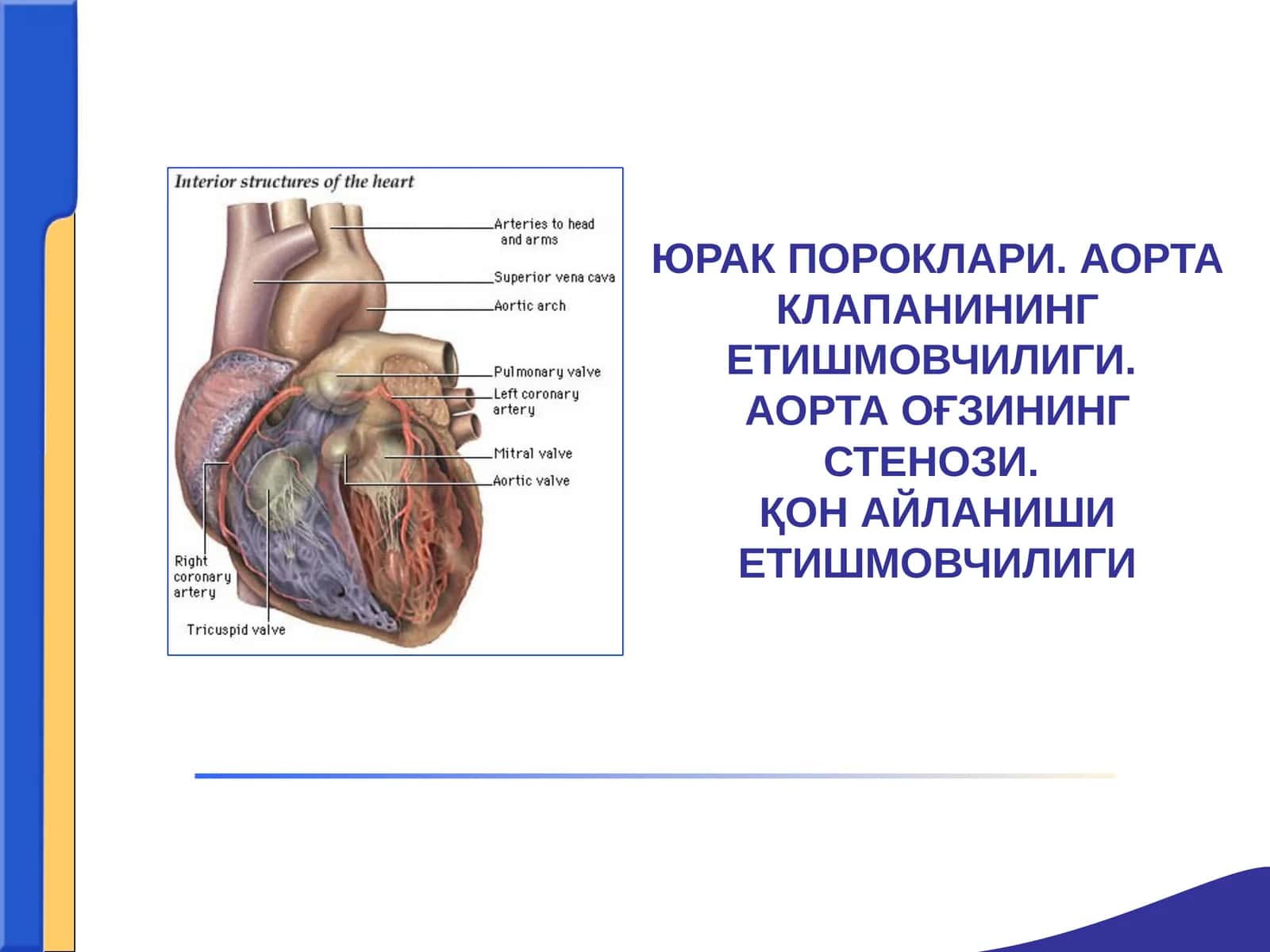 YURAK POROKLARI АОРТА КЛАПАНИНИНГ ЕТИШМОВЧИЛИГИ 1