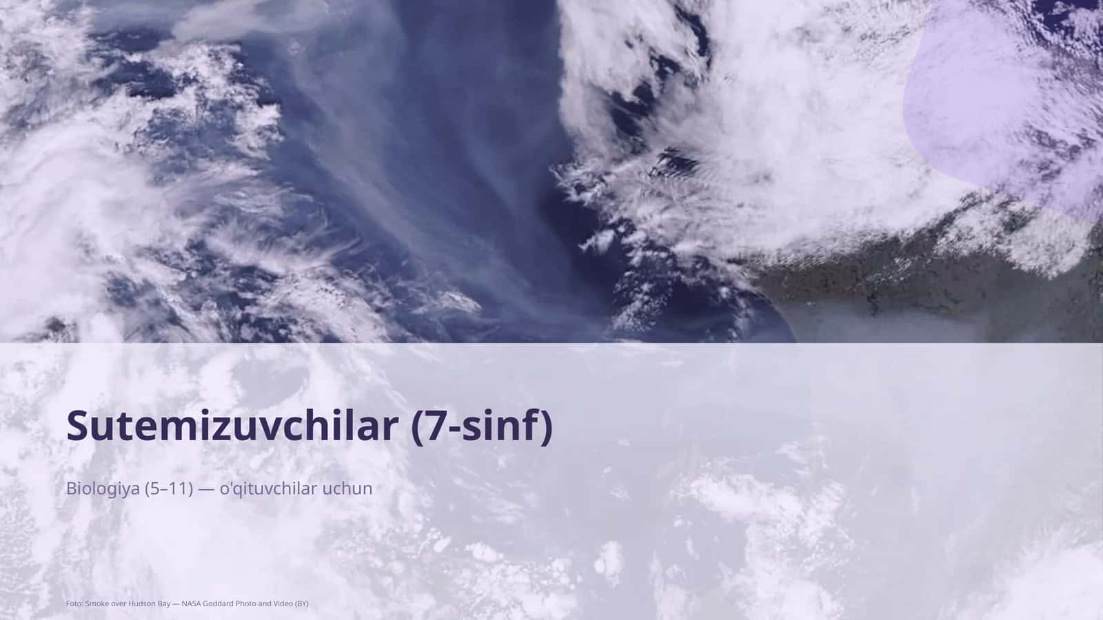 Sutemizuvchilar (7-sinf) 1