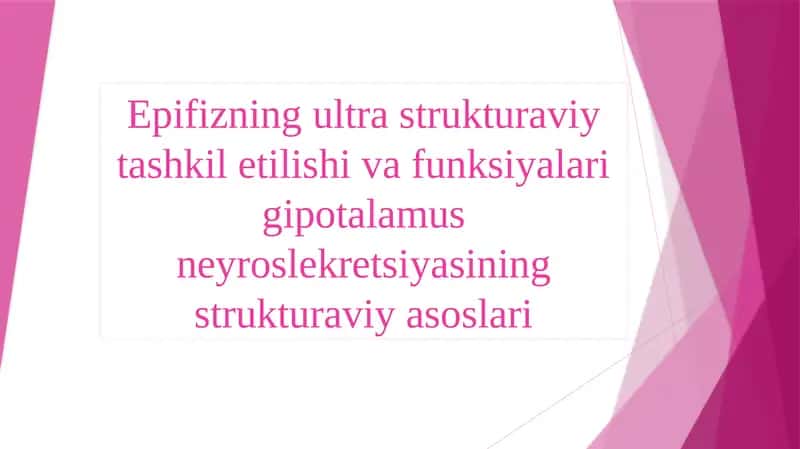 Epifizning ultrastruktura viy tashkili shivasi va funktsiyalari 1
