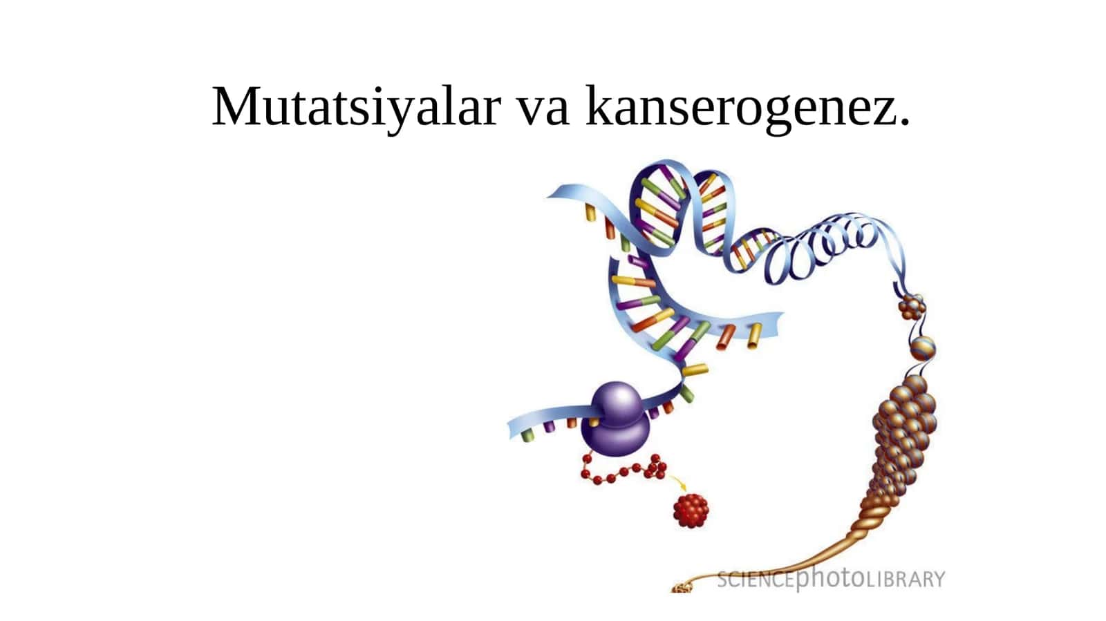 Mutatsiyalarva kanserogenez 1