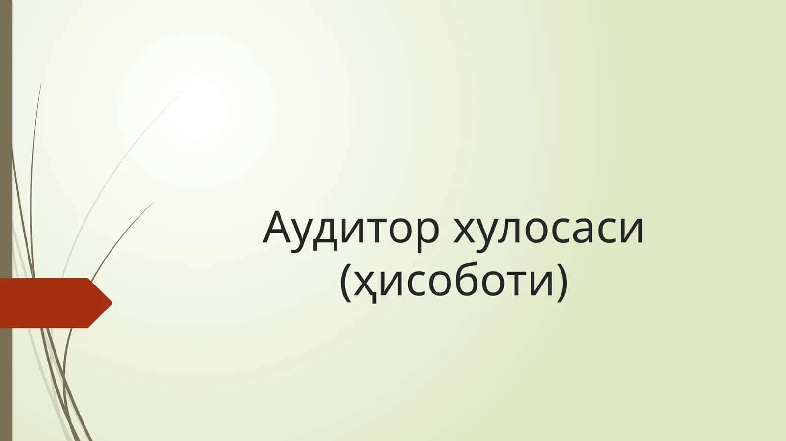 Аудитор хулосаси (ҳисоботи) 1