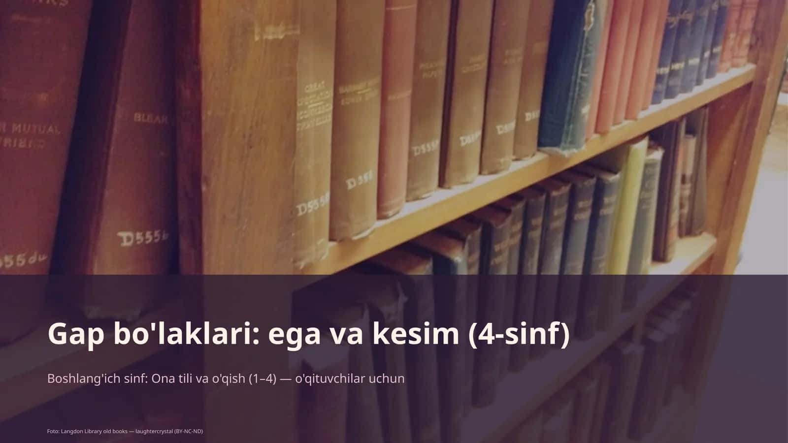 Ega va kesim 1