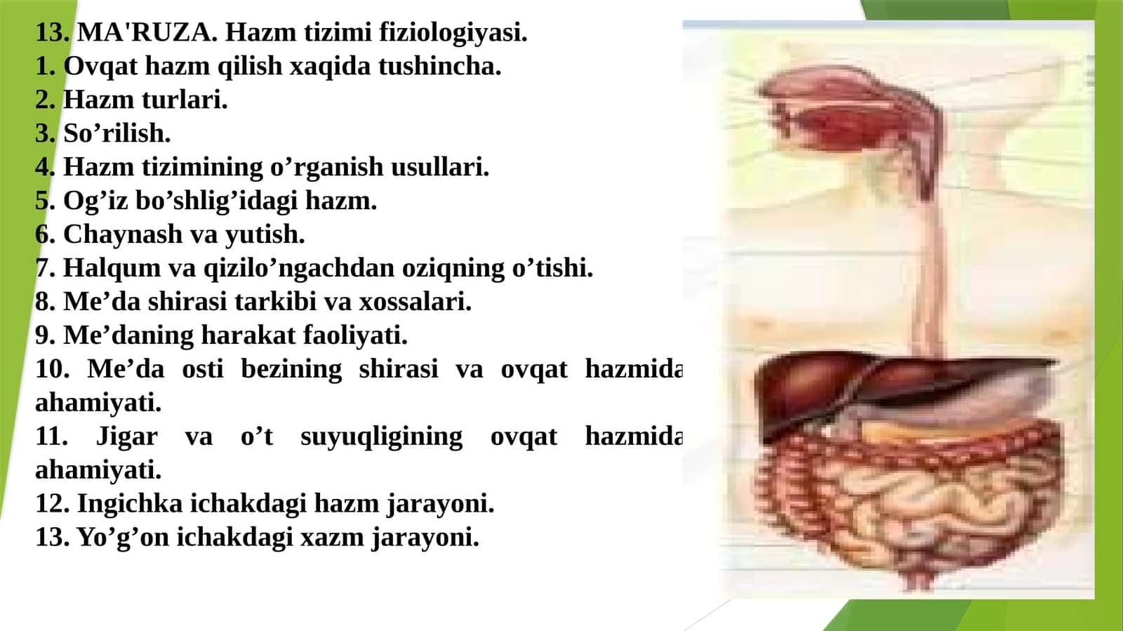 MA'RUZA. Hazm tizimifiziologiyasi 1