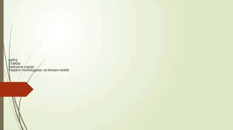 Faqların morfologiyası və kimyəvi tərkibi 1
