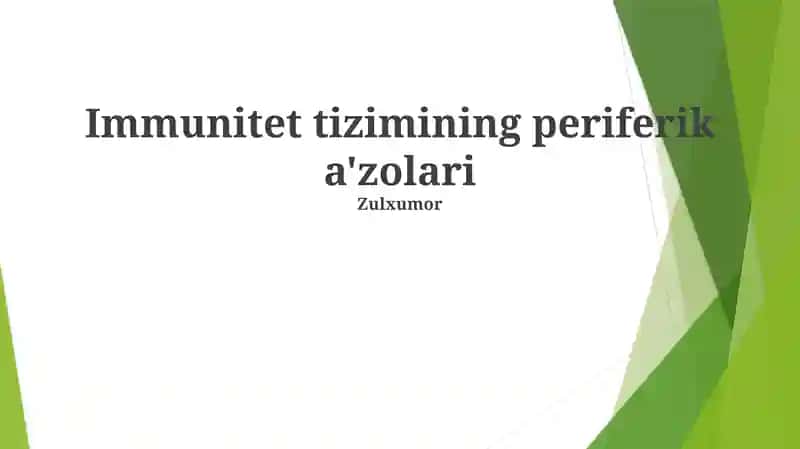 Immunitet tizimining periferik a'zolari 1