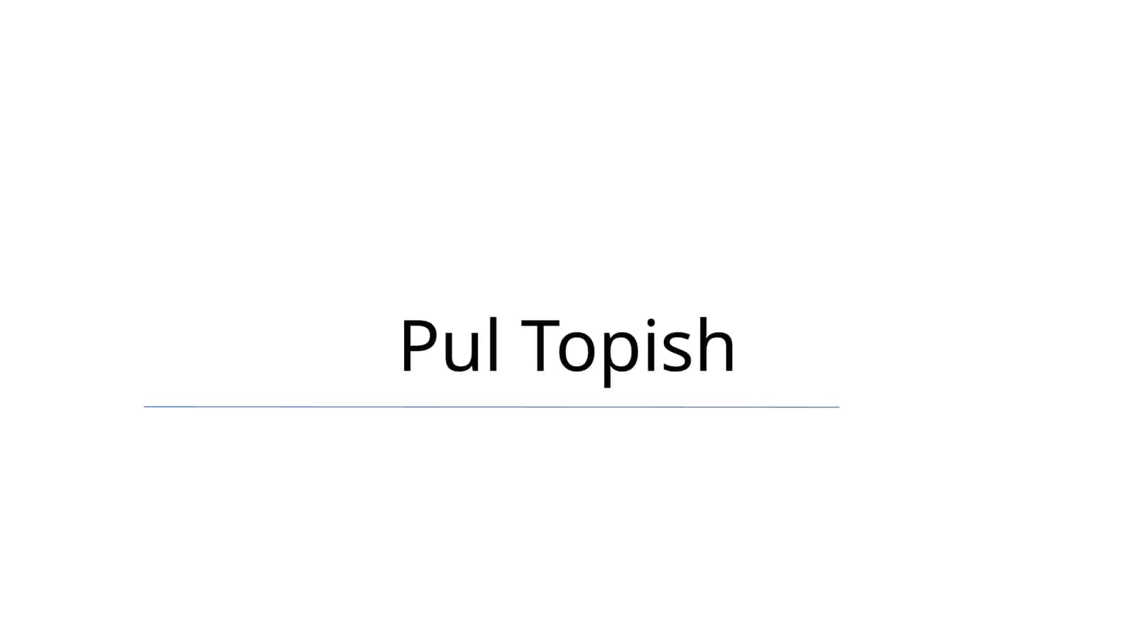 Pul Topish 1