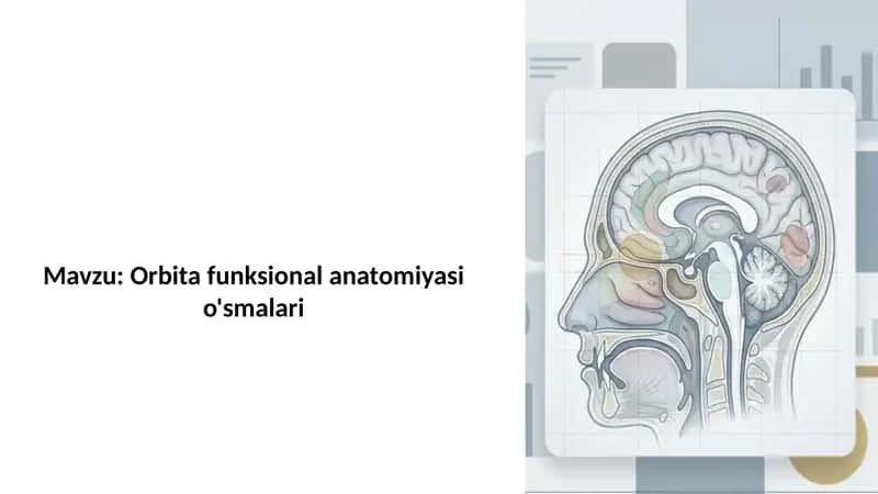 Orbita funksional anatomiyasi o'smalari 1