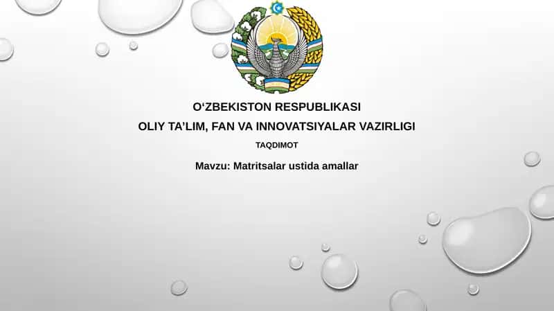 Matritsalar bilan amallar 1