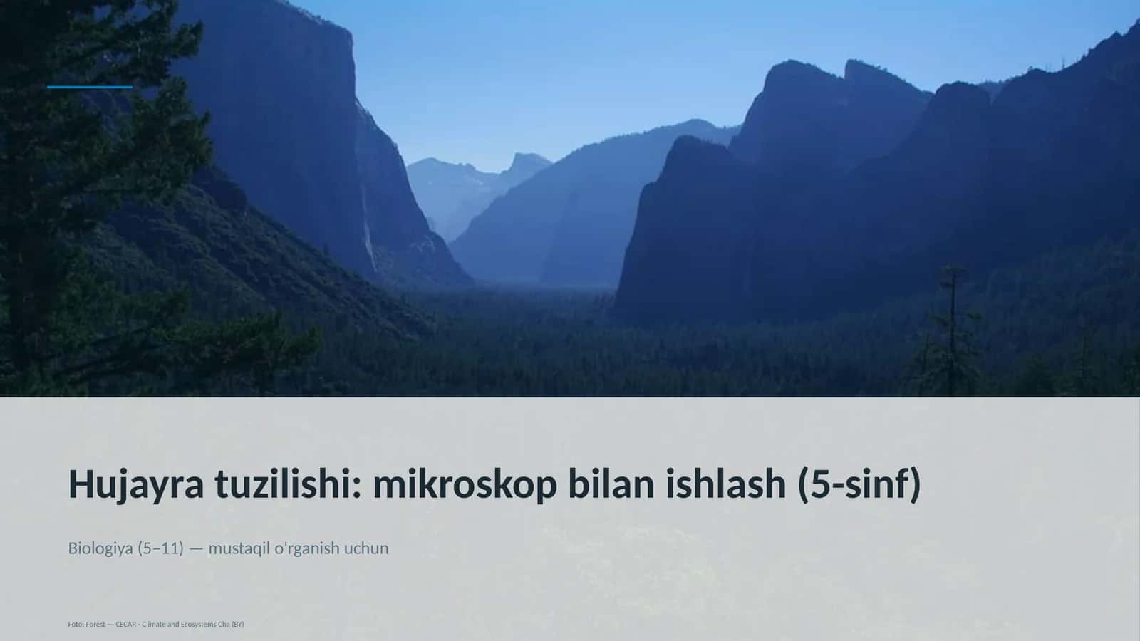 Hujayra tuzilishi: mikroskop bilan ishlash (5-sinf) 1