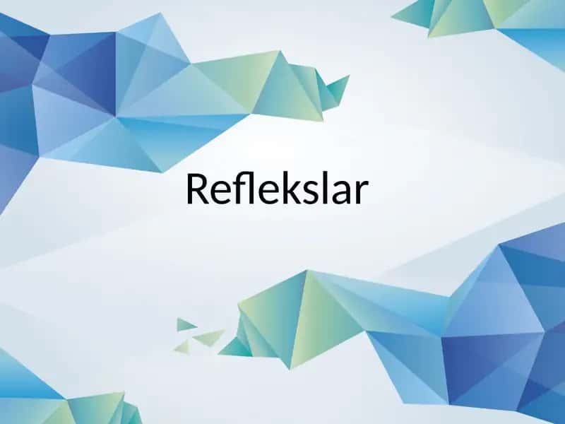 Reflekslar 1